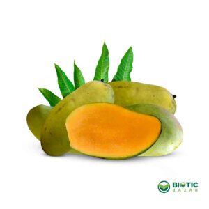 ফজলি আম
